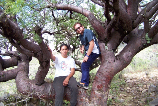  Conosci tutte le foreste 
